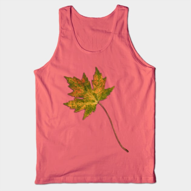 Maple leaf in autumn Tank Top by Bwiselizzy